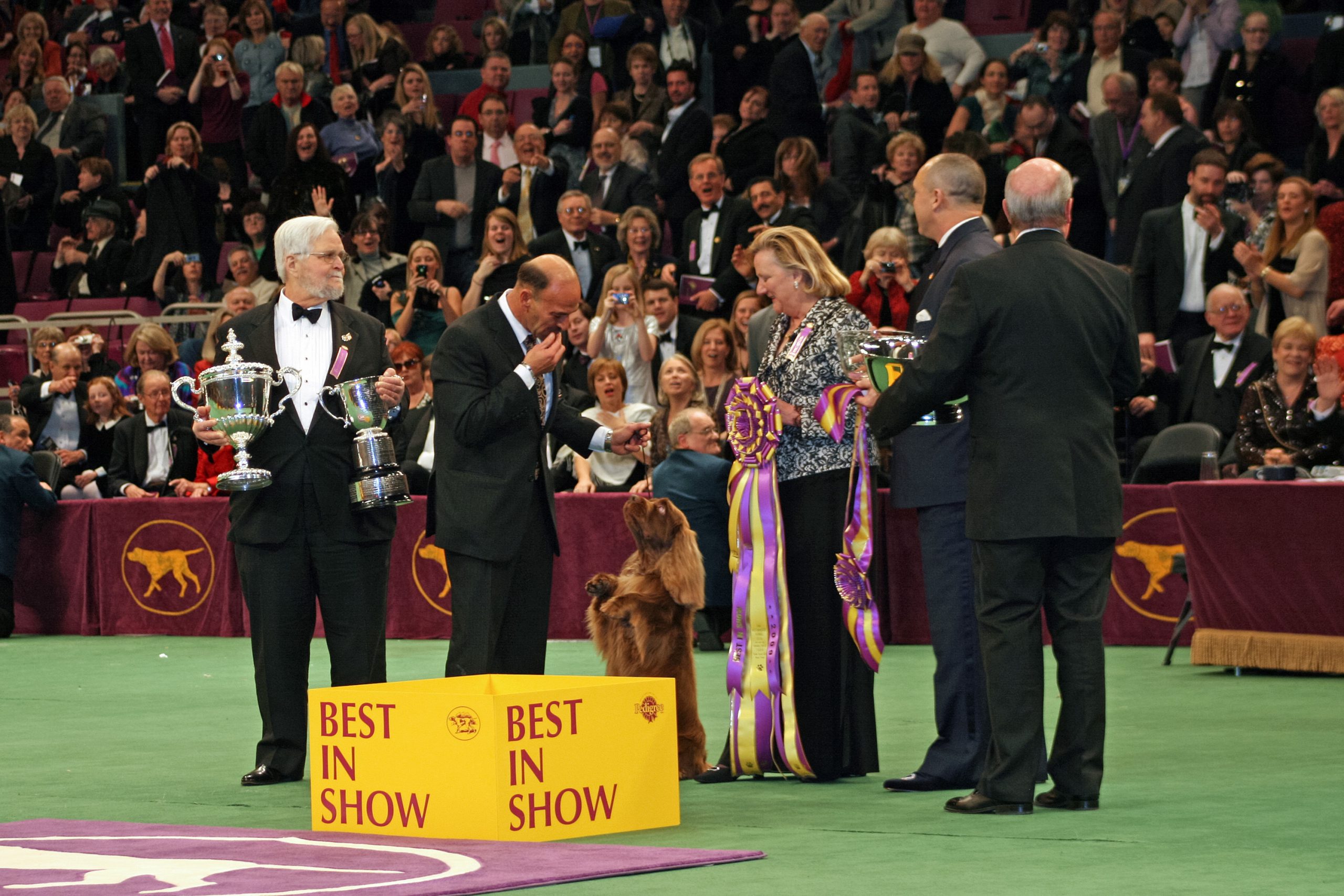 A Trip for Two to the 2022 Westminster Kennel Club Dog Show in New York
